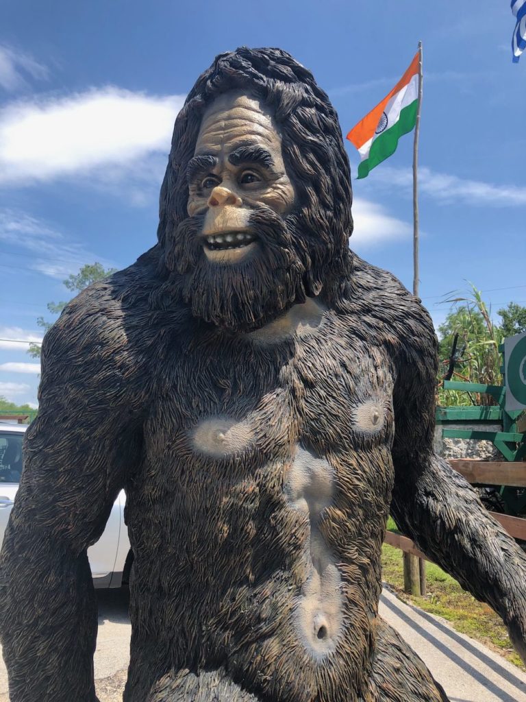 Bigfoot in NW Florida